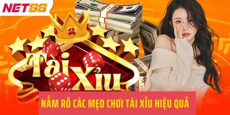 Nắm rõ các mẹo chơi tài xỉu hiệu quả