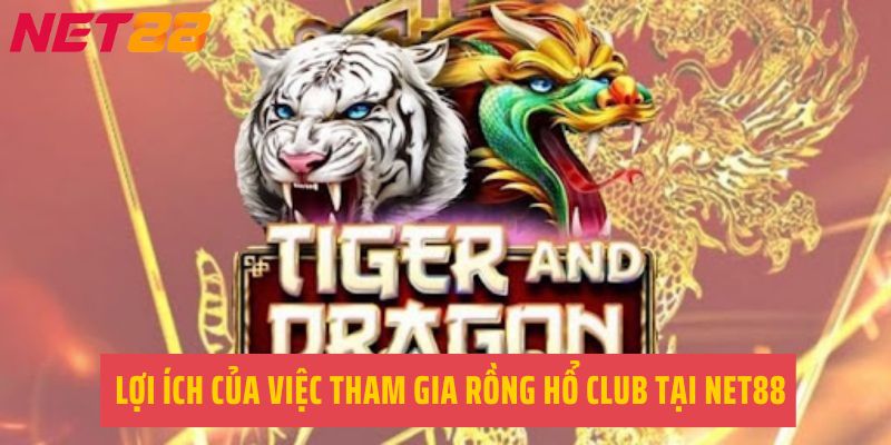 Lợi ích của việc tham gia Rồng hổ club tại NET88